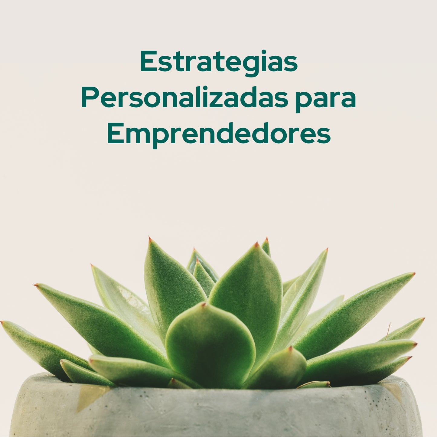 Estrategias Personalizadas para Emprendedores